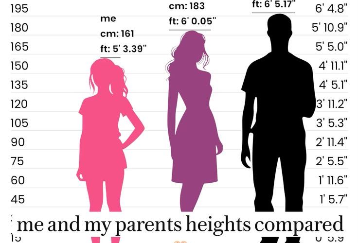 Tinggi Taylor Swift: Fakta, Karier, dan Pengaruhnya di Dunia Musik