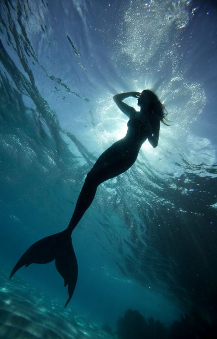 Cara Menjadi Mermaid: Panduan Lengkap untuk Pemula yang Ingin Tampil Seperti Putri Duyung