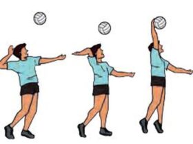 Istilah Lain Servis dalam Permainan Bola Voli Adalah Serve: Pengertian, Jenis, dan Teknik Lengkap