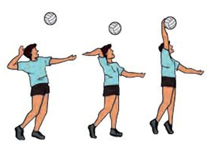 Istilah Lain Servis dalam Permainan Bola Voli Adalah Serve: Pengertian, Jenis, dan Teknik Lengkap