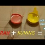 Campuran Warna Merah dan Kuning Akan Menghasilkan Warna Apa? Penjelasan Lengkap dan Mudah Dipahami